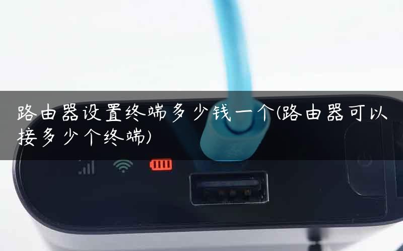 路由器设置终端多少钱一个(路由器可以接多少个终端)