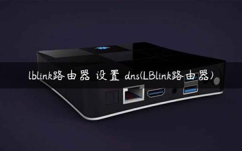 lblink路由器 设置 dns(LBlink路由器)