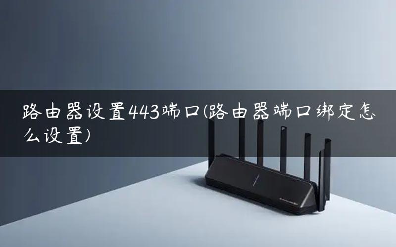 路由器设置443端口(路由器端口绑定怎么设置)