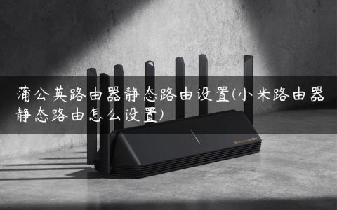 蒲公英路由器静态路由设置(小米路由器静态路由怎么设置)