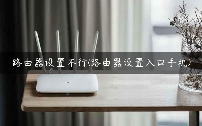 路由器设置不行(路由器设置入口手机)
