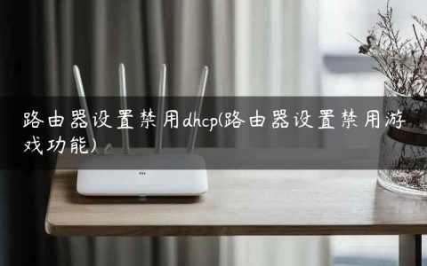 路由器设置禁用dhcp(路由器设置禁用游戏功能)