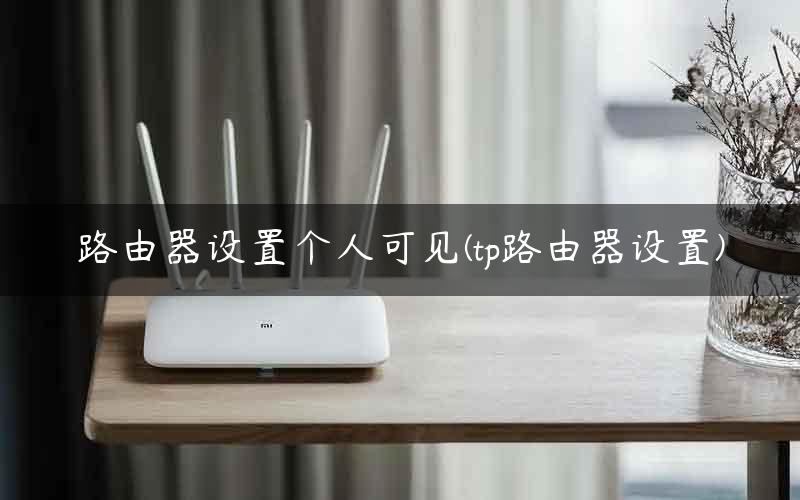 路由器设置个人可见(tp路由器设置)