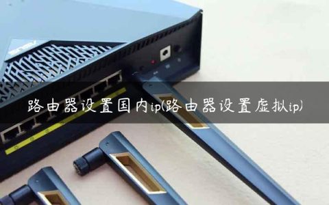 路由器设置国内ip(路由器设置虚拟ip)