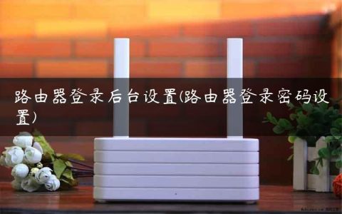 路由器登录后台设置(路由器登录密码设置)