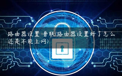 路由器设置 普联(路由器设置好了怎么还是不能上网)