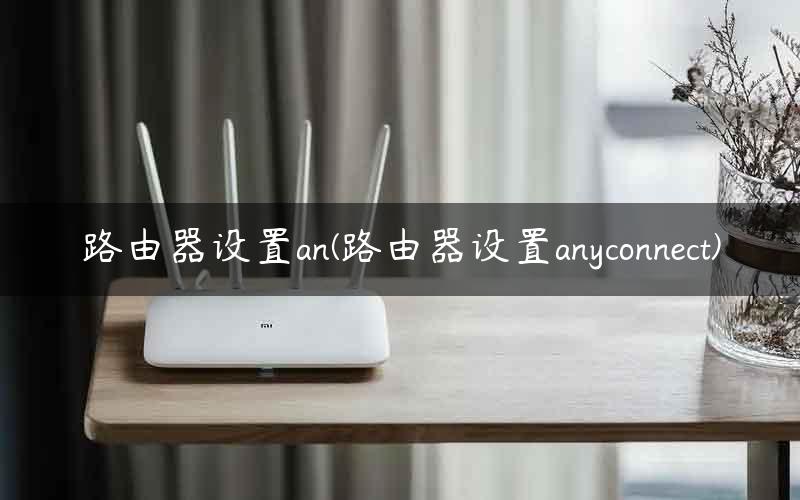 路由器设置an(路由器设置anyconnect)