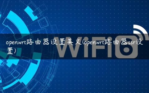 openwrt路由器设置英文(openwrt路由器ssr设置)
