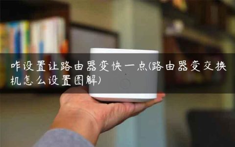 咋设置让路由器变快一点(路由器变交换机怎么设置图解)