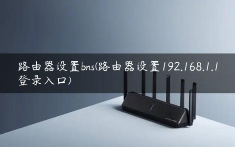 路由器设置bns(路由器设置192.168.1.1登录入口)