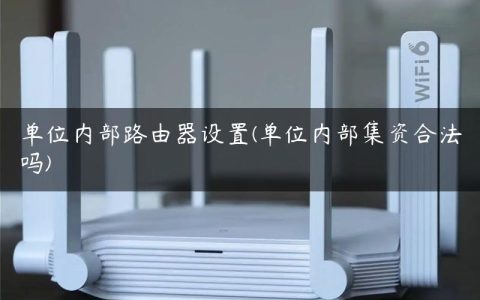 单位内部路由器设置(单位内部集资合法吗)