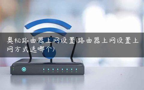 奥秘路由器上网设置(路由器上网设置上网方式选哪个)