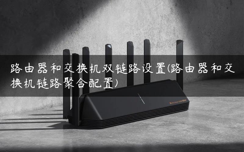路由器和交换机双链路设置(路由器和交换机链路聚合配置)