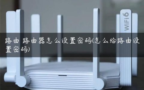 路由 路由器怎么设置密码(怎么给路由设置密码)