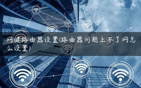 网健路由器设置(路由器问题上不了网怎么设置)