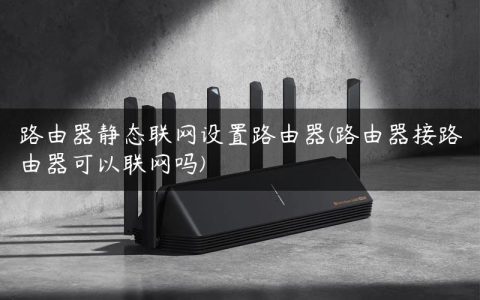 路由器静态联网设置路由器(路由器接路由器可以联网吗)