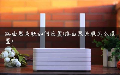 路由器关联如何设置(路由器关联怎么设置)