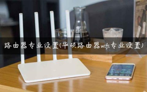 路由器专业设置(华硕路由器wifi专业设置)
