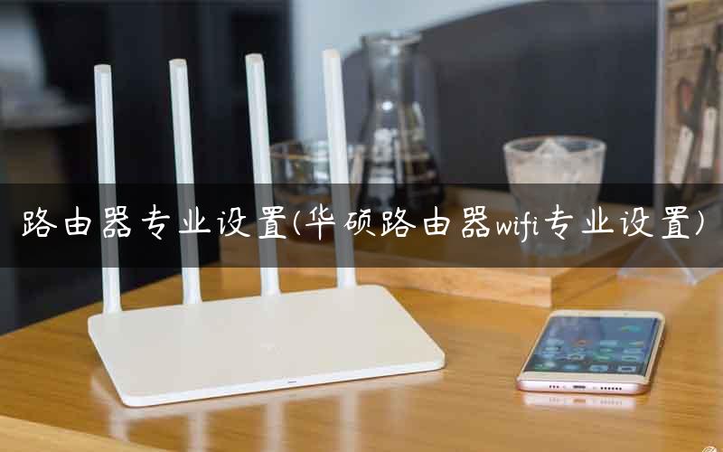 路由器专业设置(华硕路由器wifi专业设置)