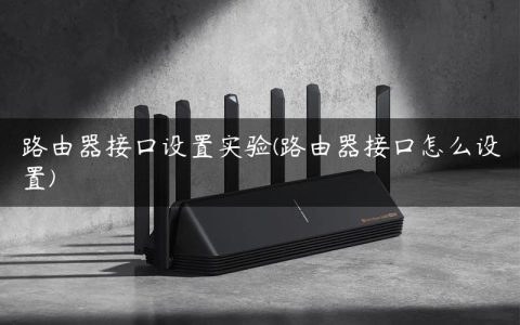 路由器接口设置实验(路由器接口怎么设置)