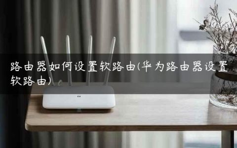 路由器如何设置软路由(华为路由器设置软路由)