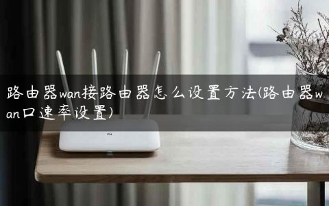 路由器wan接路由器怎么设置方法(路由器wan口速率设置)