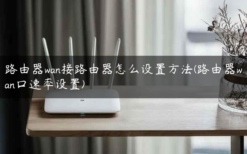 路由器wan接路由器怎么设置方法(路由器wan口速率设置)