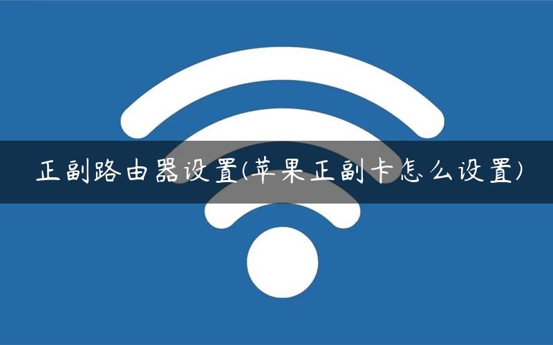 正副路由器设置(苹果正副卡怎么设置)