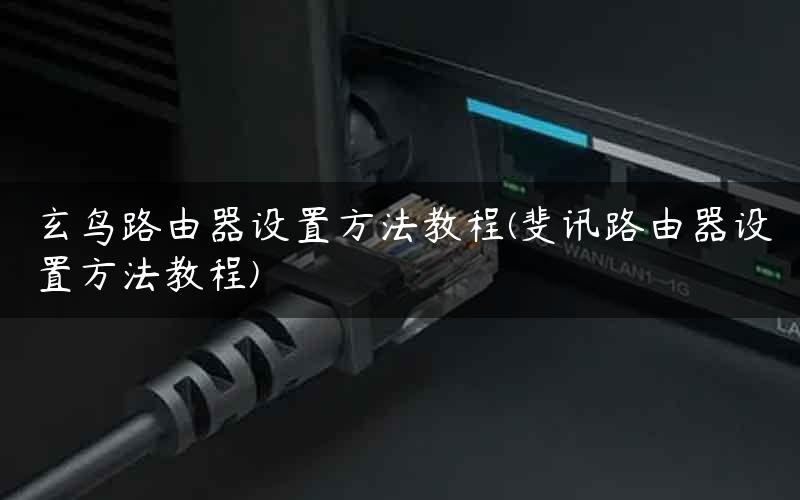 玄鸟路由器设置方法教程(斐讯路由器设置方法教程)