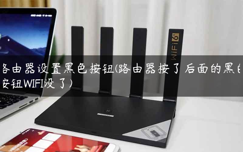 路由器设置黑色按钮(路由器按了后面的黑色按钮WIFI没了)