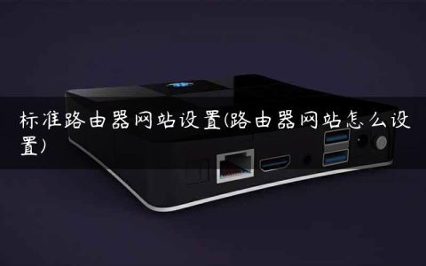 标准路由器网站设置(路由器网站怎么设置)