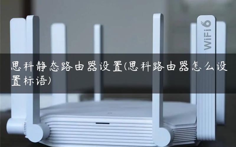 思科静态路由器设置(思科路由器怎么设置标语)