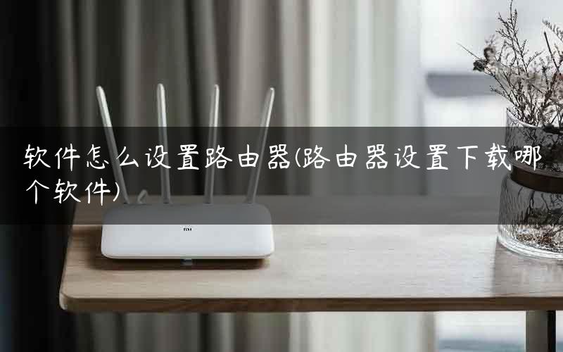 软件怎么设置路由器(路由器设置下载哪个软件)