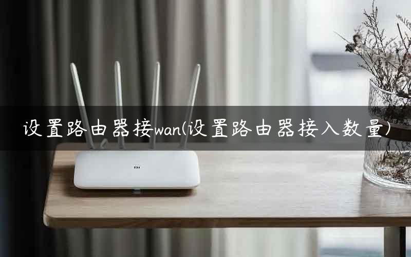 设置路由器接wan(设置路由器接入数量)
