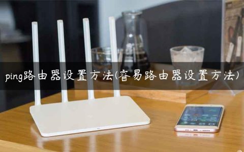 ping路由器设置方法(睿易路由器设置方法)
