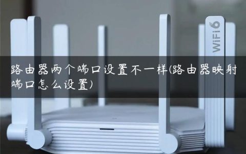 路由器两个端口设置不一样(路由器映射端口怎么设置)
