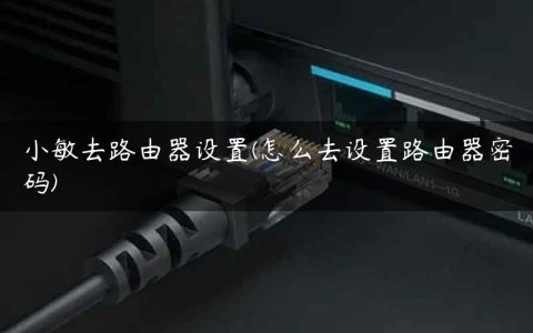 小敏去路由器设置(怎么去设置路由器密码)