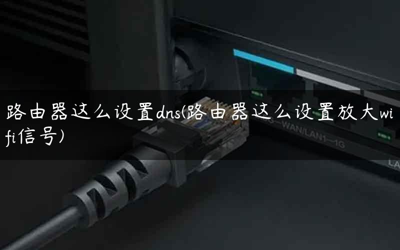 路由器这么设置dns(路由器这么设置放大wifi信号)