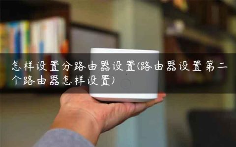 怎样设置分路由器设置(路由器设置第二个路由器怎样设置)
