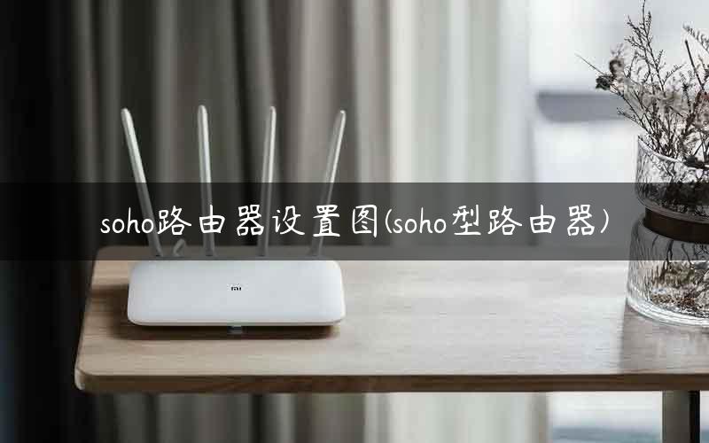 soho路由器设置图(soho型路由器) soho路由器设置图(soho型路由器)