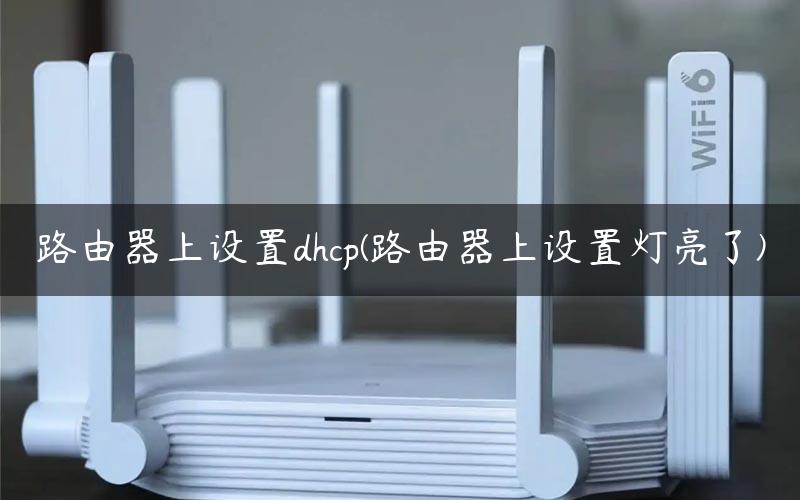 路由器上设置dhcp(路由器上设置灯亮了)