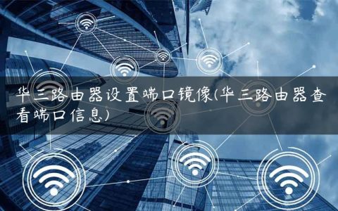 华三路由器设置端口镜像(华三路由器查看端口信息)