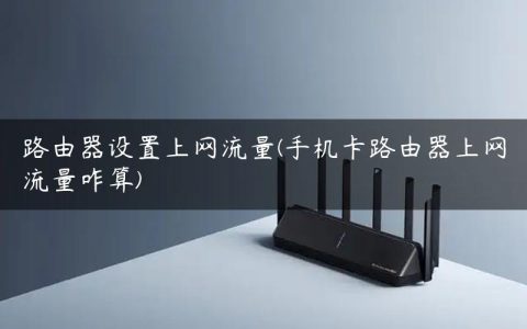 路由器设置上网流量(手机卡路由器上网流量咋算)