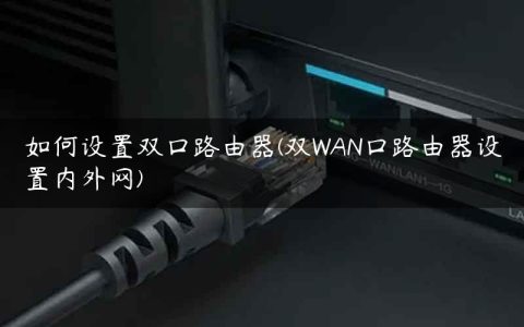 如何设置双口路由器(双WAN口路由器设置内外网)