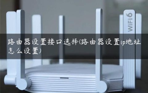 路由器设置接口选择(路由器设置ip地址怎么设置)