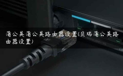 蒲公英蒲公英路由器设置(贝瑞蒲公英路由器设置)