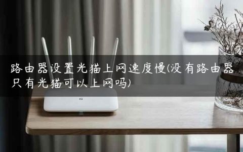 路由器设置光猫上网速度慢(没有路由器只有光猫可以上网吗)