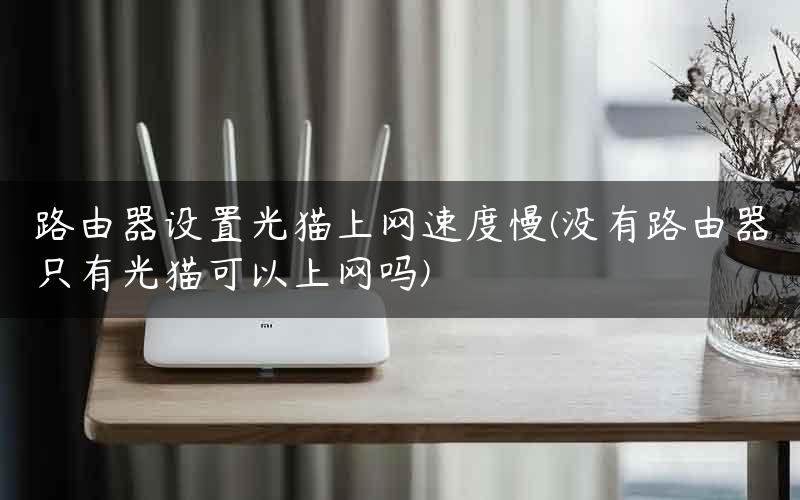 路由器设置光猫上网速度慢(没有路由器只有光猫可以上网吗)
