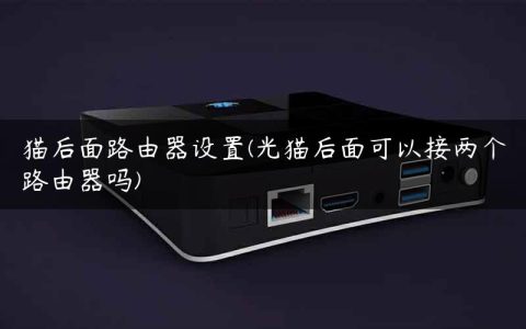猫后面路由器设置(光猫后面可以接两个路由器吗)