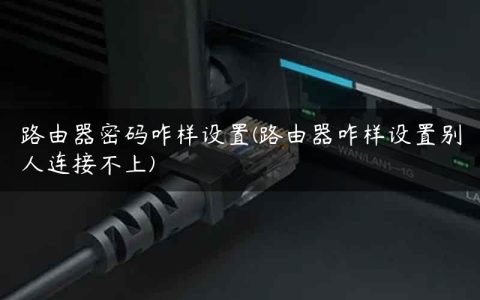 路由器密码咋样设置(路由器咋样设置别人连接不上)